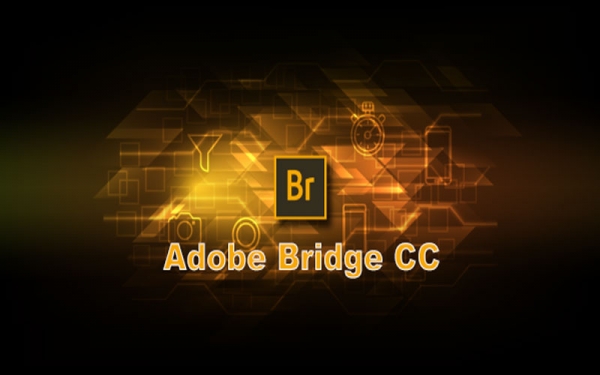 ADOBE BRIDGE LÀ GÌ